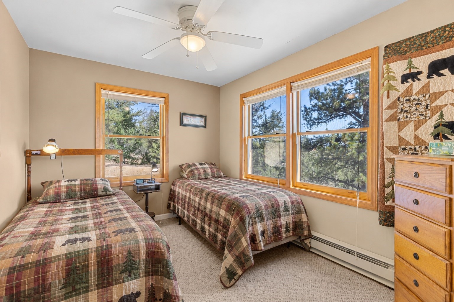 2120 Oxford Drive Hartsel CO 80449