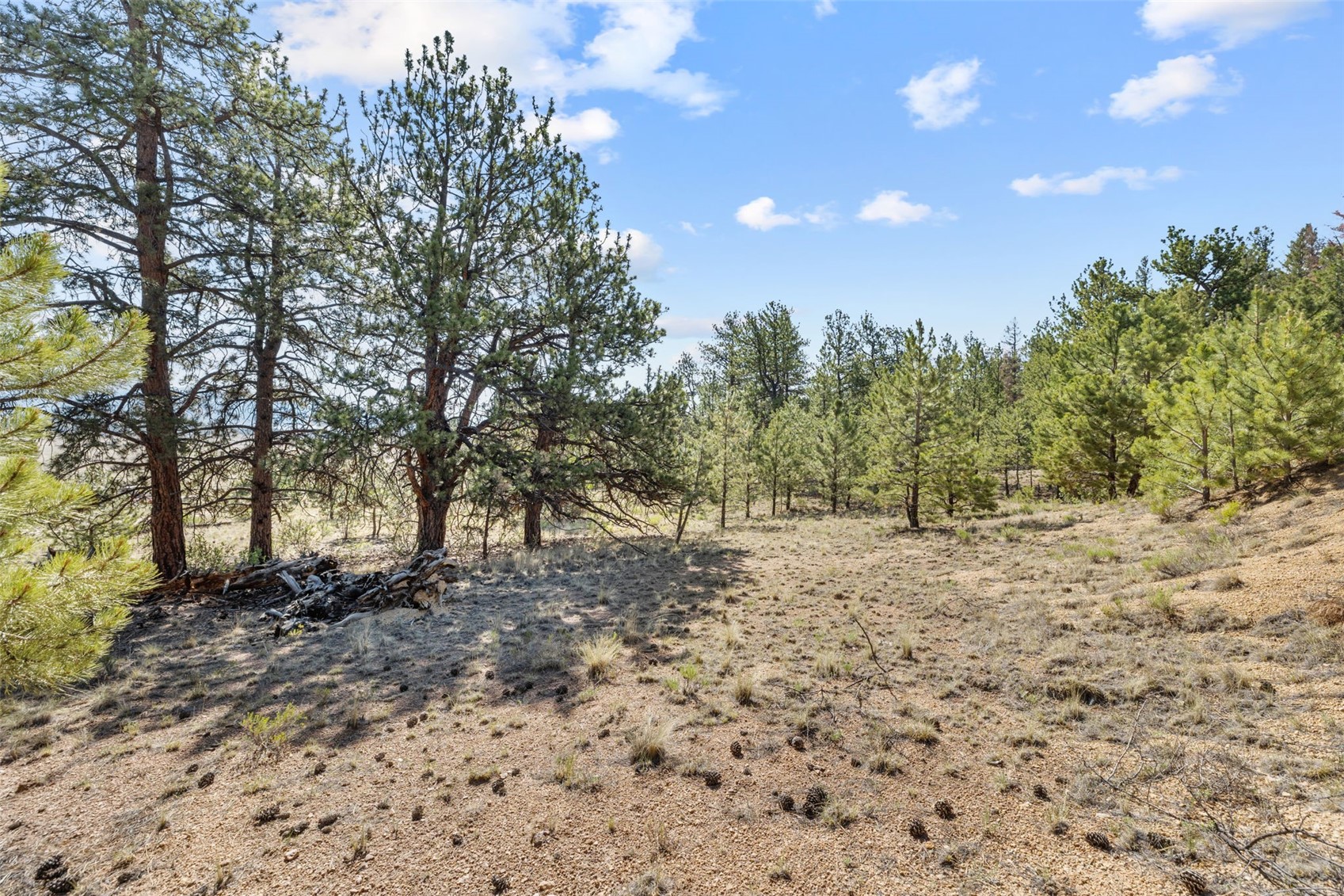 2120 Oxford Drive Hartsel CO 80449