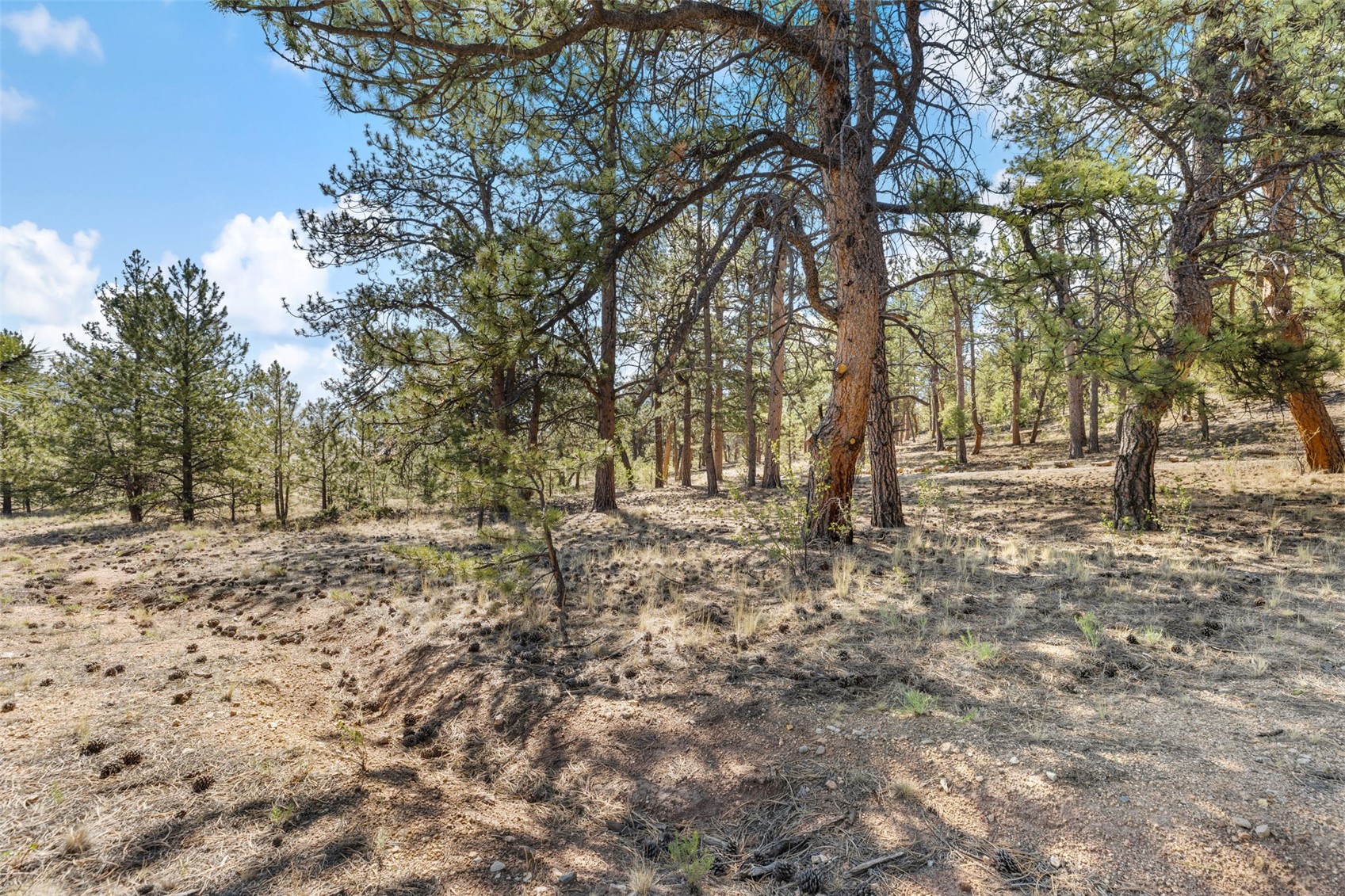 2120 Oxford Drive Hartsel CO 80449