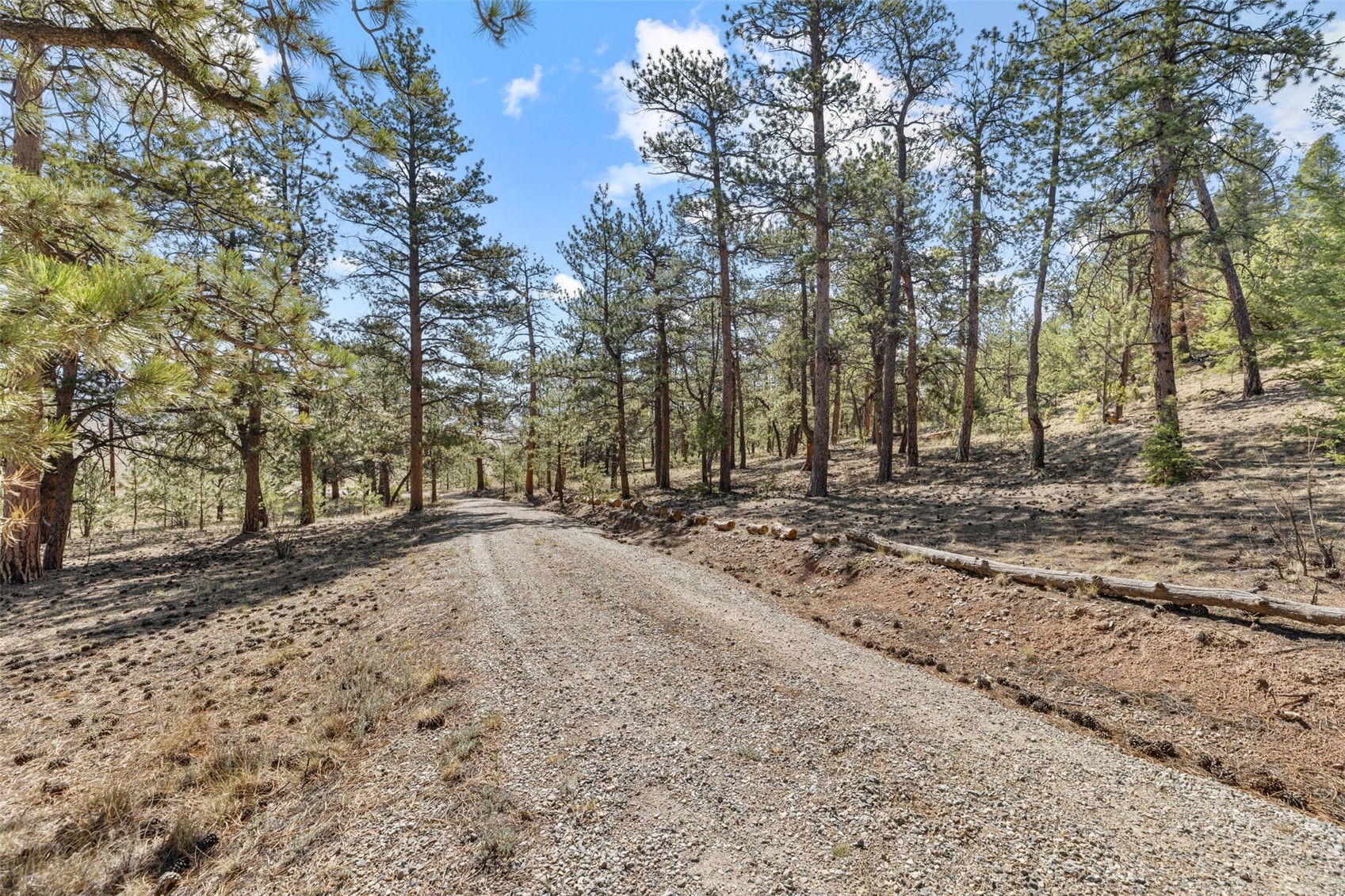2120 Oxford Drive Hartsel CO 80449