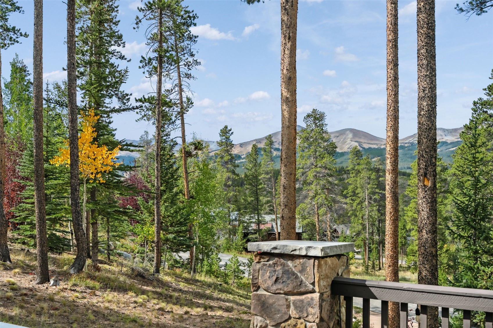 14 Fletcher Court Breckenridge CO 80424