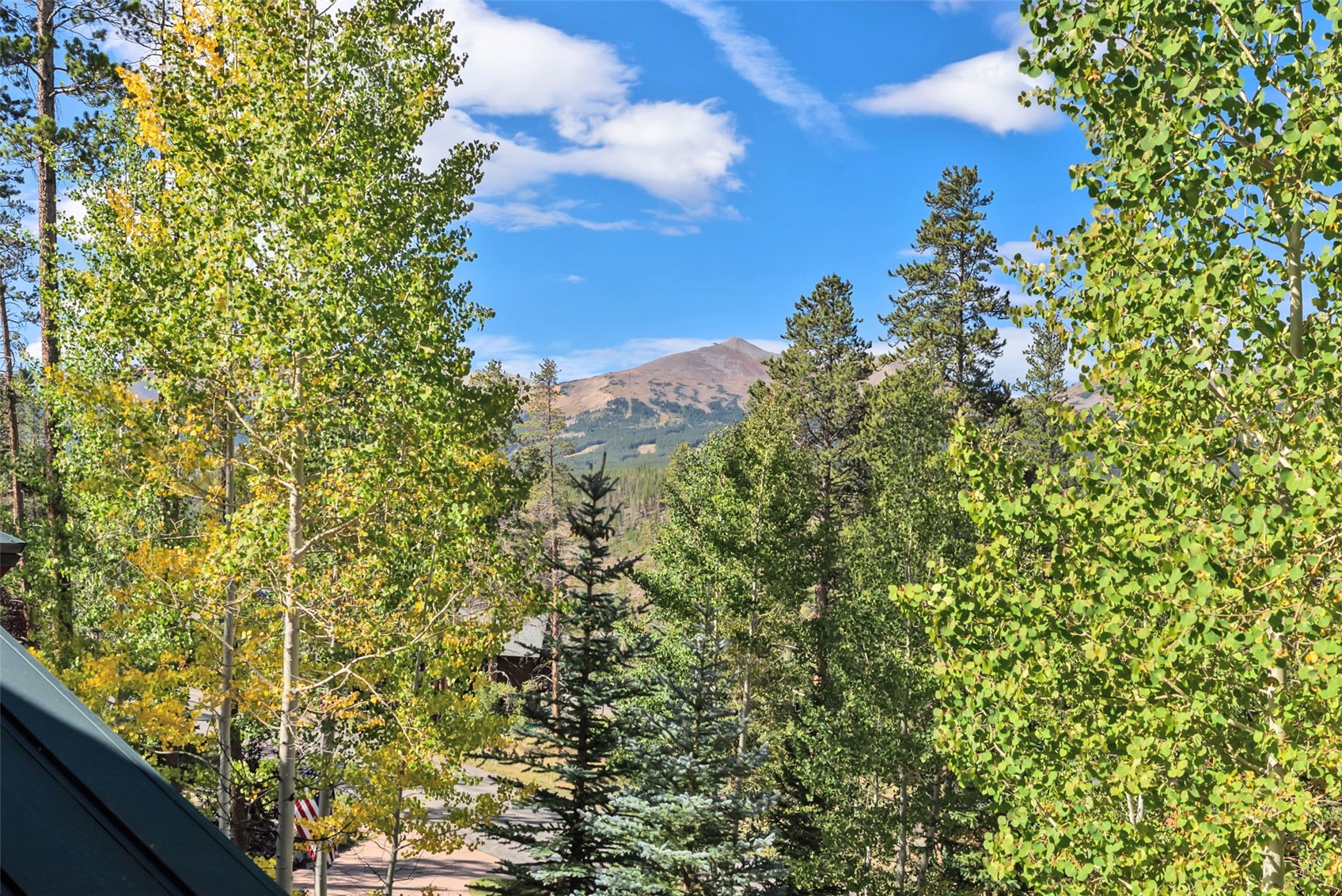 14 Fletcher Court Breckenridge CO 80424
