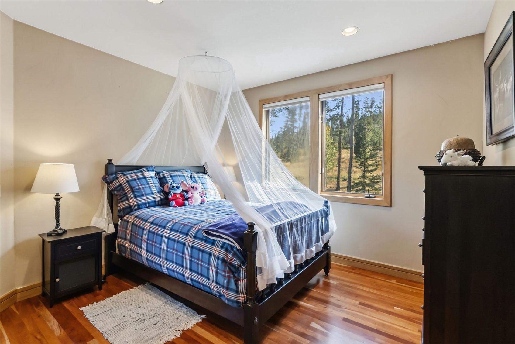 14 Fletcher Court Breckenridge CO 80424