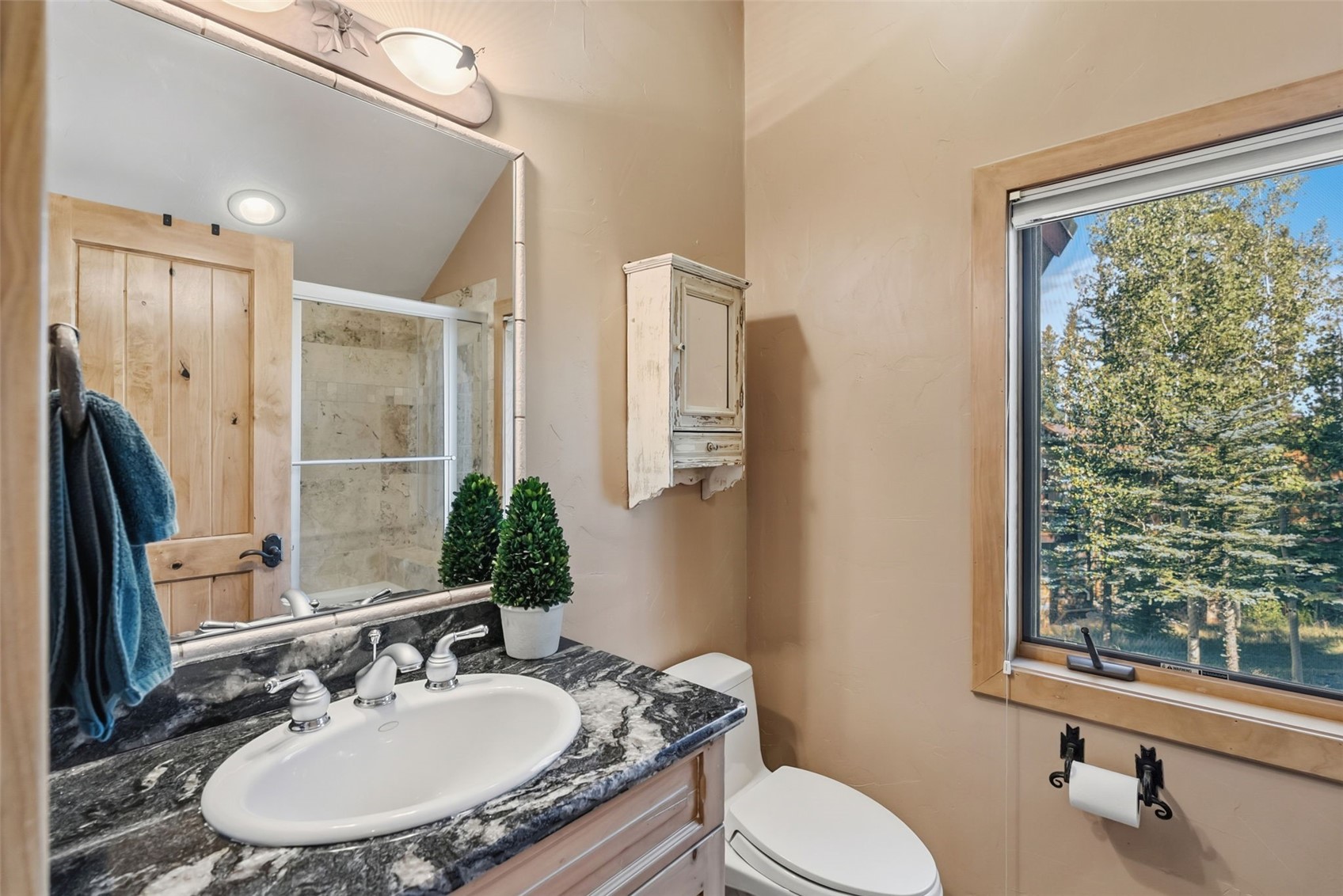 14 Fletcher Court Breckenridge CO 80424