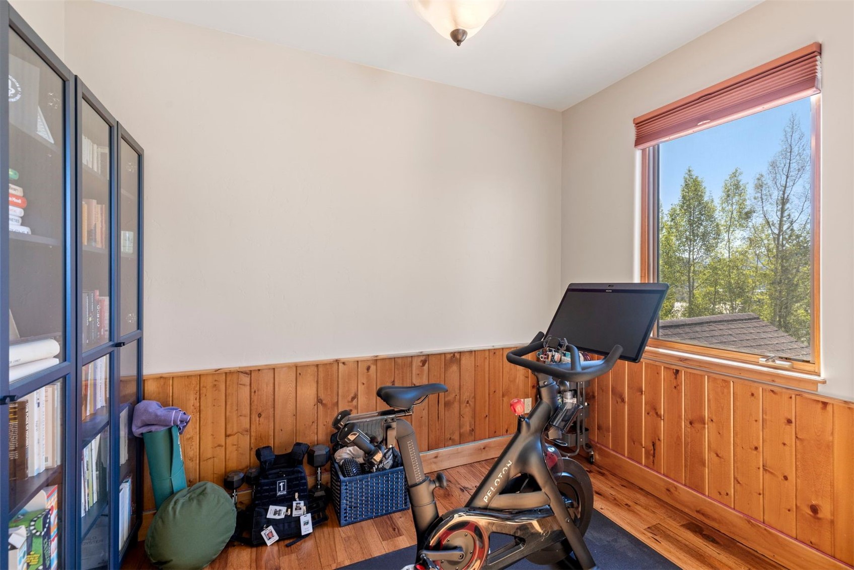 221 Kings Court Silverthorne CO 80498
