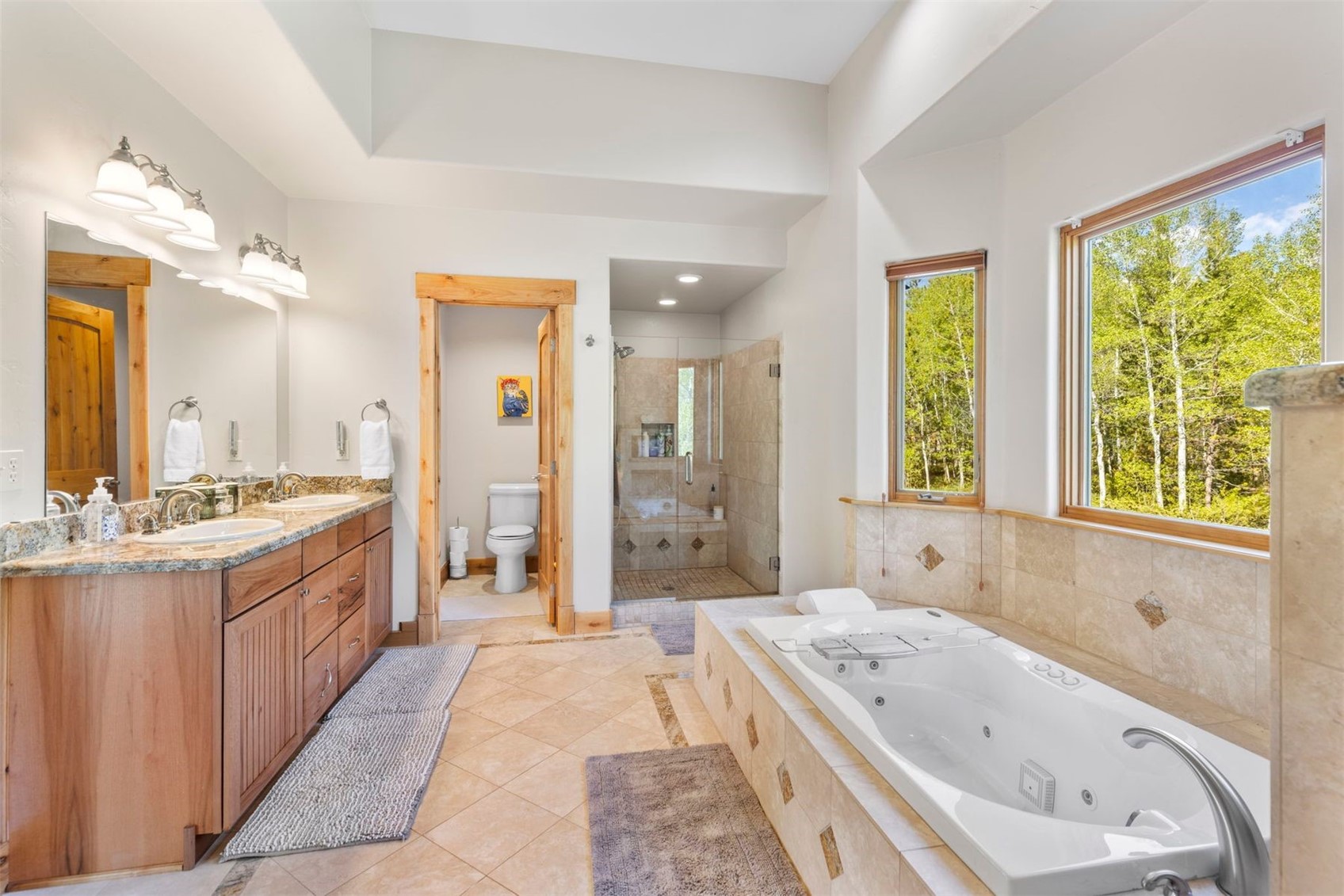 221 Kings Court Silverthorne CO 80498