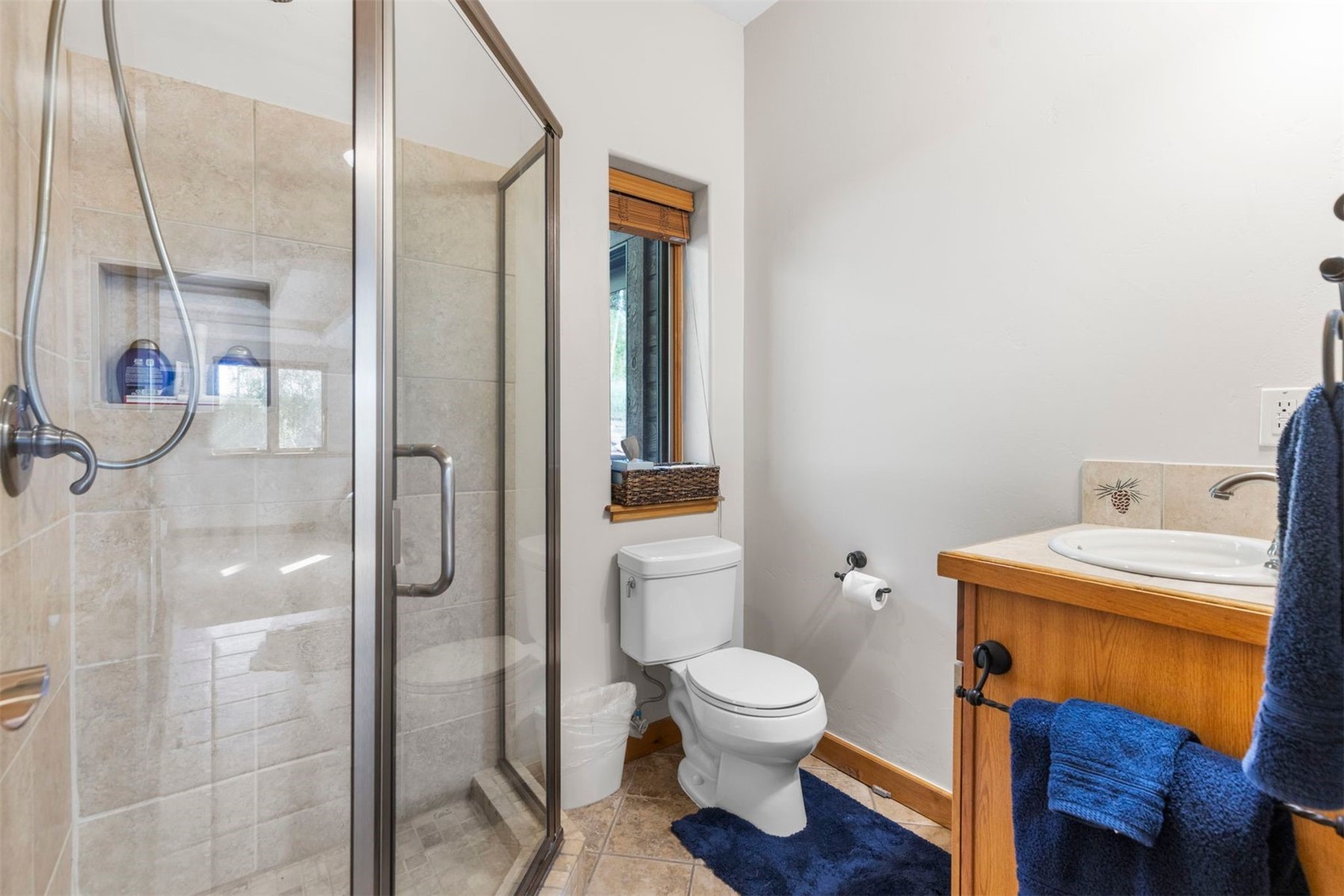 221 Kings Court Silverthorne CO 80498