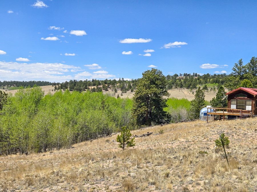 487 Indian Lane Hartsel CO 80449