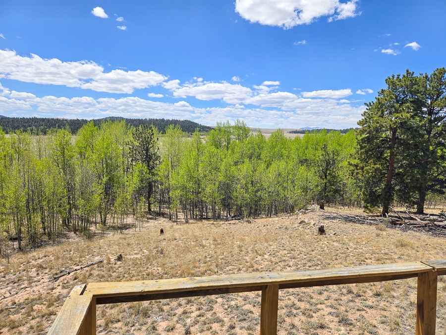 487 Indian Lane Hartsel CO 80449