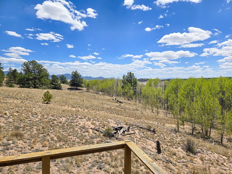 487 Indian Lane Hartsel CO 80449