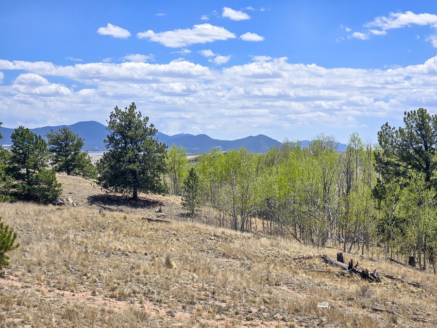 487 Indian Lane Hartsel CO 80449