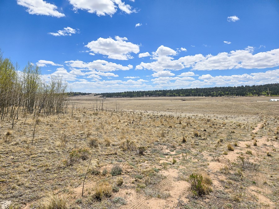 487 Indian Lane Hartsel CO 80449