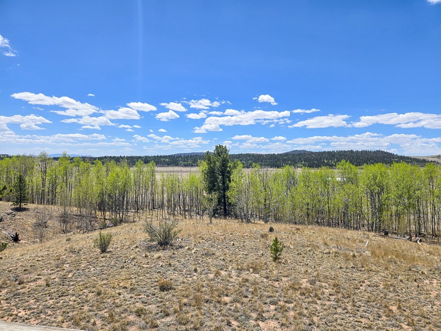 487 Indian Lane Hartsel CO 80449