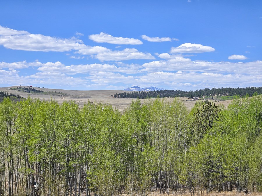 487 Indian Lane Hartsel CO 80449