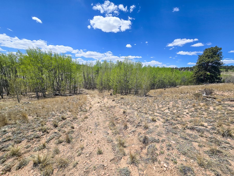 487 Indian Lane Hartsel CO 80449