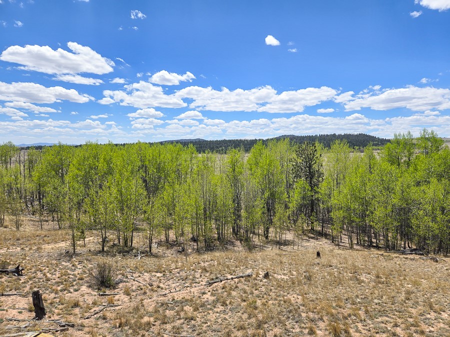 487 Indian Lane Hartsel CO 80449