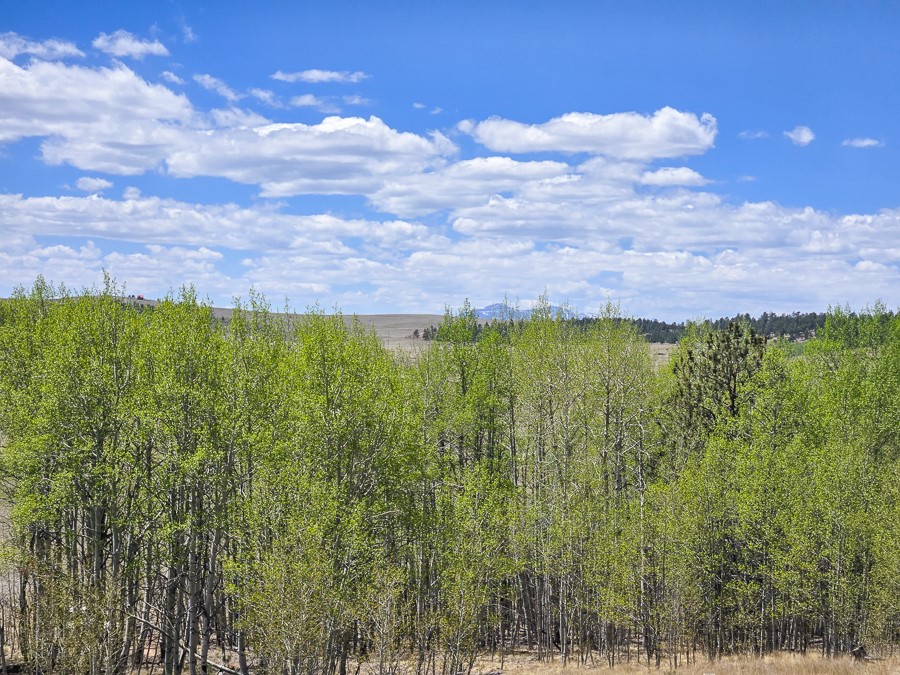 487 Indian Lane Hartsel CO 80449