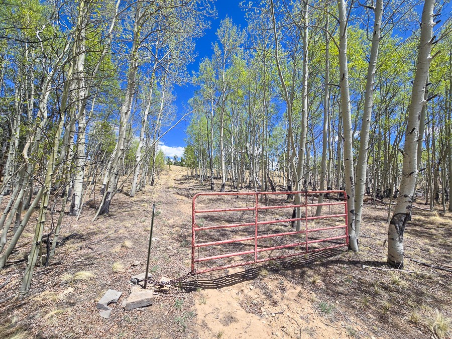 487 Indian Lane Hartsel CO 80449