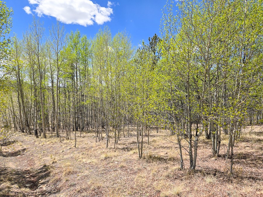 487 Indian Lane Hartsel CO 80449