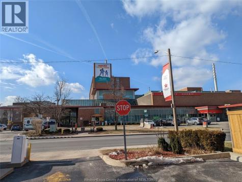 1074 Goyeau Windsor ON N9A 1J1