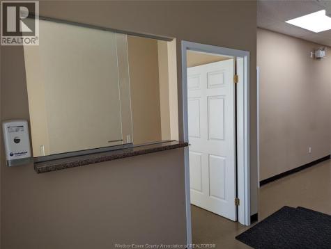 1074 Goyeau Windsor ON N9A 1J1