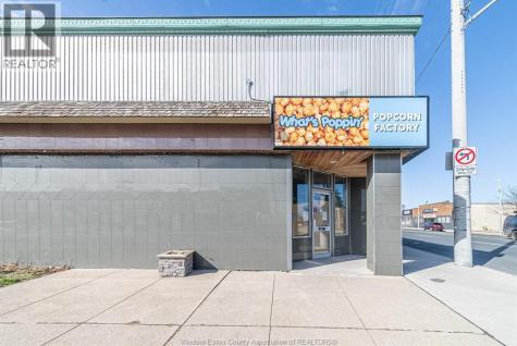 1395 Tecumseh Road E #lower Windsor ON N8W 2B9