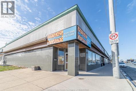 1395 Tecumseh Road E #lower Windsor ON N8W 2B9