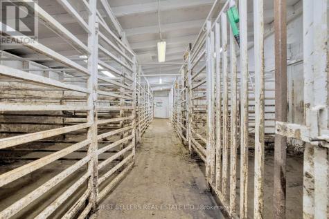4049 Bonneau Line Chatham-kent ON N0P 2L0