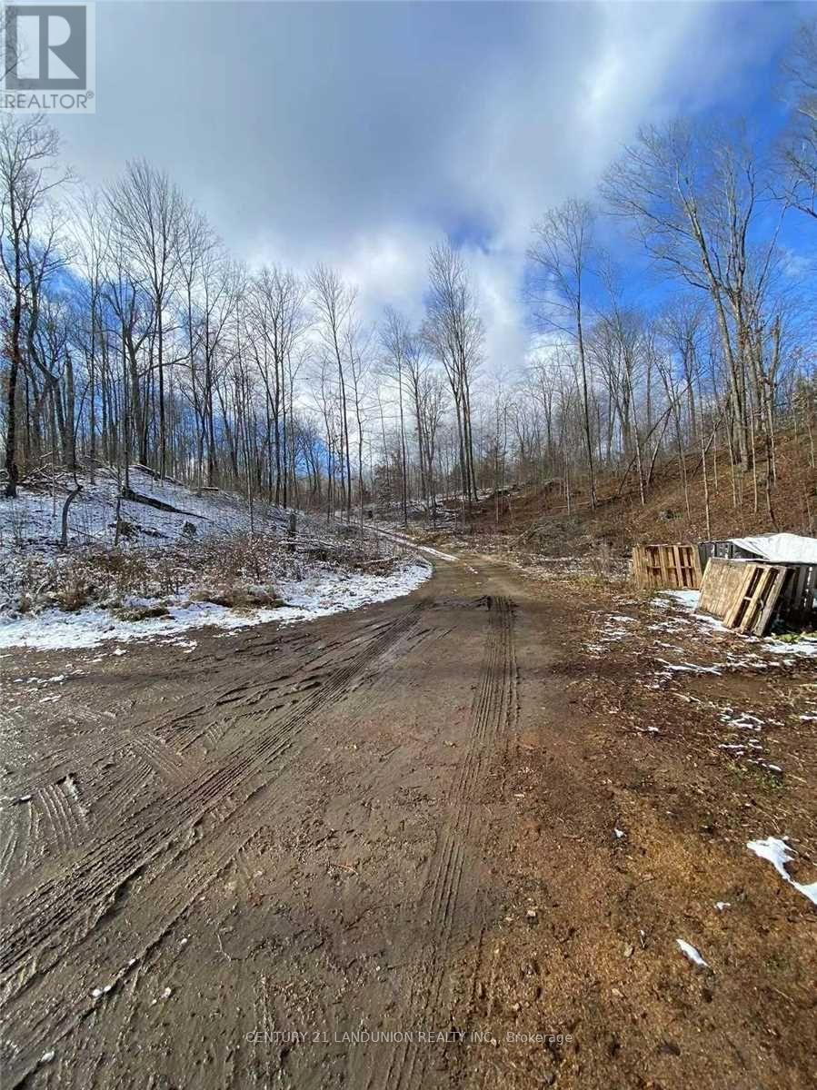 1091 Crystal Lake Road Trent Lakes ON K0M 2A0