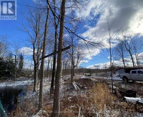 1091 Crystal Lake Road Trent Lakes ON K0M 2A0