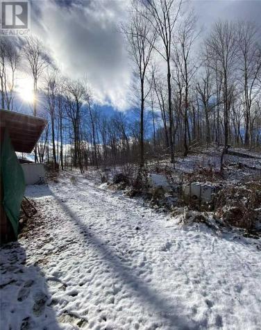 1091 Crystal Lake Road Trent Lakes ON K0M 2A0