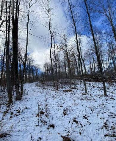 1091 Crystal Lake Road Trent Lakes ON K0M 2A0