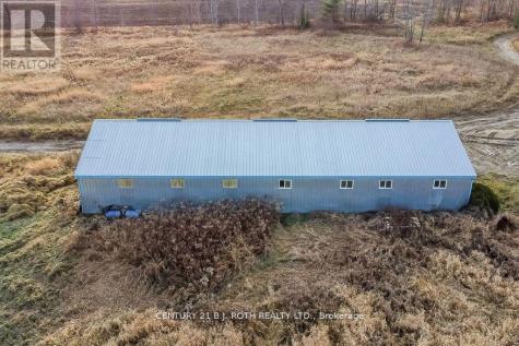 159 11 Line North Oro-medonte ON L0L 1T0