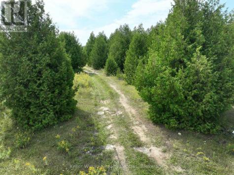 387 Spry Lake Road South Bruce Peninsula ON N0H 2T0