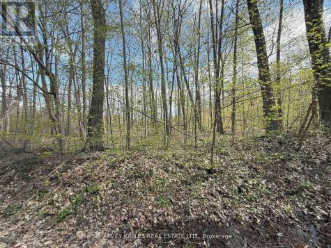 0 Oakwood Lane Greater Napanee ON K0H 1G0