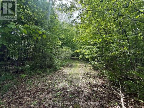 0 Oakwood Lane Greater Napanee ON K0H 1G0