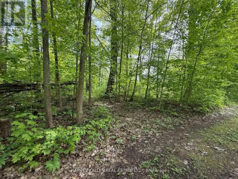 0 Oakwood Lane Greater Napanee ON K0H 1G0