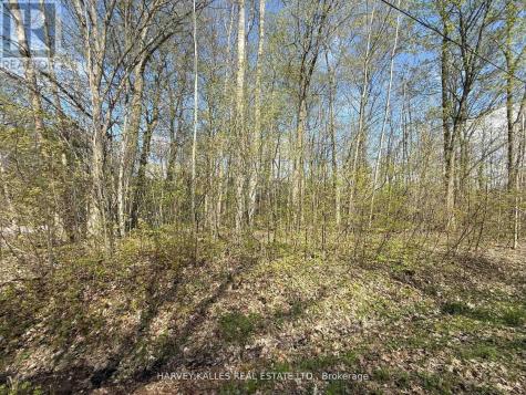 0 Oakwood Lane Greater Napanee ON K0H 1G0