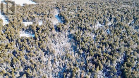 Lot 30 Myles Drive Northern Bruce Peninsula ON N0H 2R0
