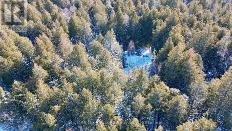 Lot 30 Myles Drive Northern Bruce Peninsula ON N0H 2R0