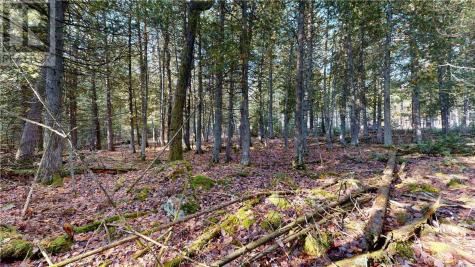 7 Sandy Point Manitowaning ON P0P 1N0