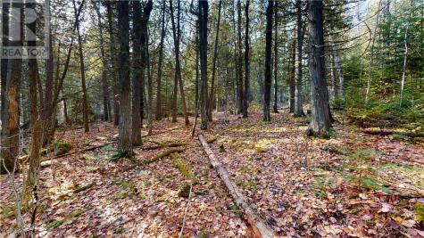 7 Sandy Point Manitowaning ON P0P 1N0