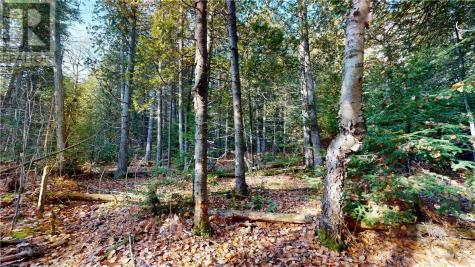 7 Sandy Point Manitowaning ON P0P 1N0