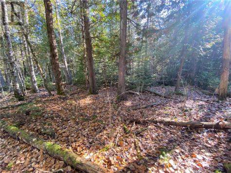 7 Sandy Point Manitowaning ON P0P 1N0