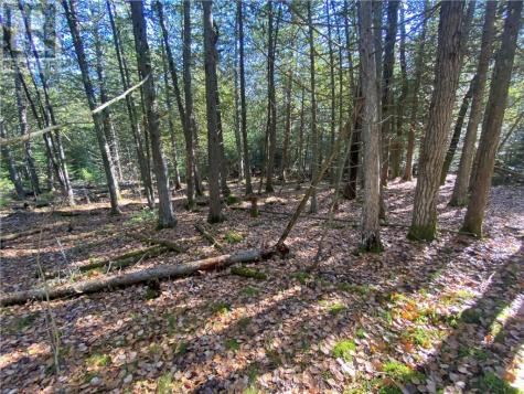 7 Sandy Point Manitowaning ON P0P 1N0