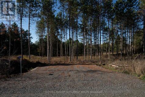 1015 Concession 5a Road Lanark Highlands ON K0G 1K0