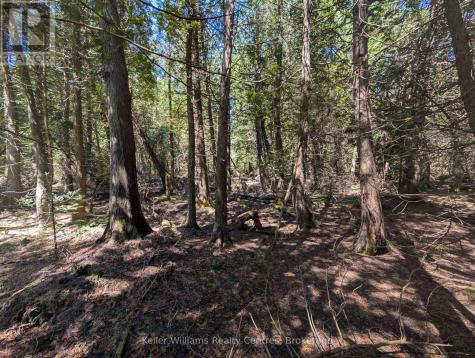 Point Lt 56 Con 4 Cape Hurd Road Northern Bruce Peninsula ON N0H 2R0