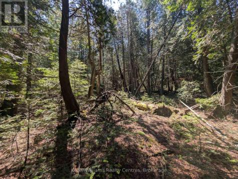 Point Lt 56 Con 4 Cape Hurd Road Northern Bruce Peninsula ON N0H 2R0
