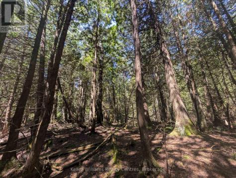 Point Lt 56 Con 4 Cape Hurd Road Northern Bruce Peninsula ON N0H 2R0