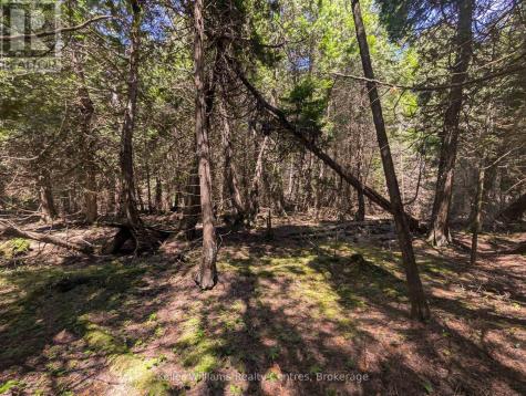 Point Lt 56 Con 4 Cape Hurd Road Northern Bruce Peninsula ON N0H 2R0